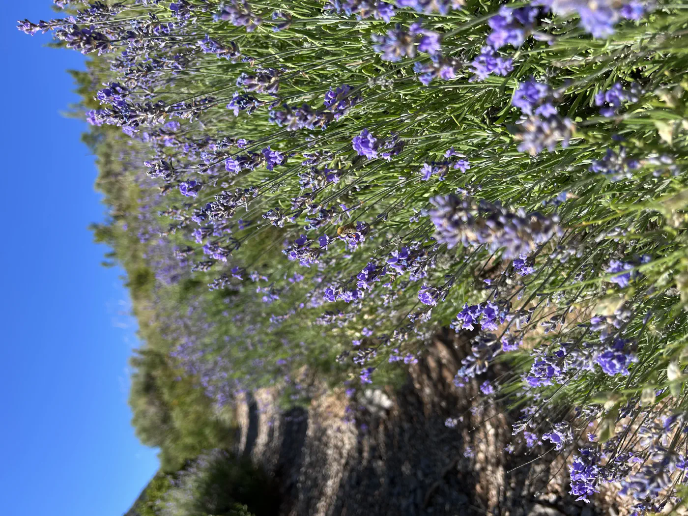 La vallée de Blieux
