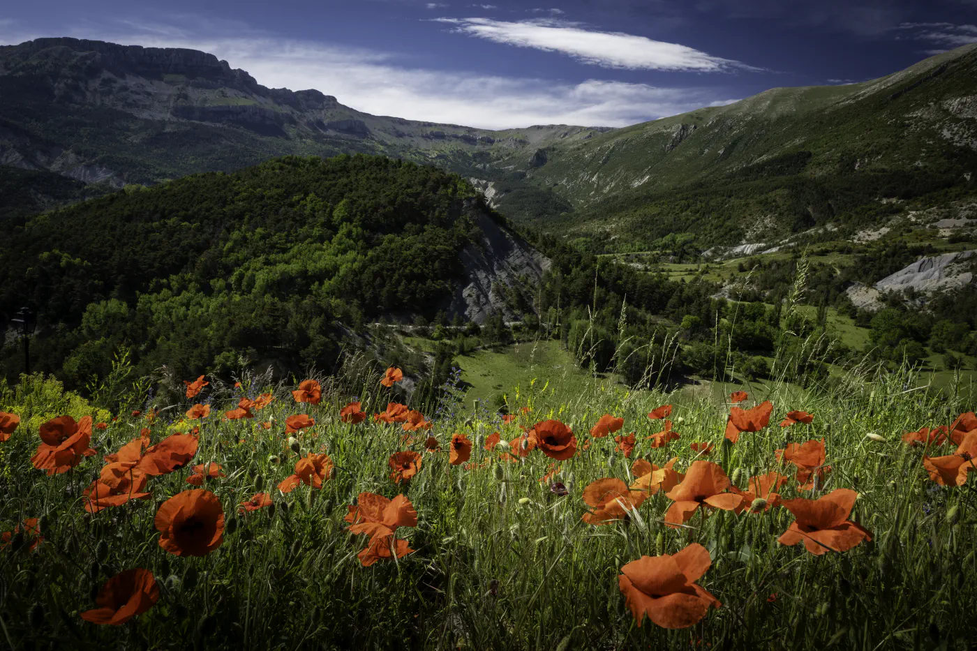 La vallée de Blieux