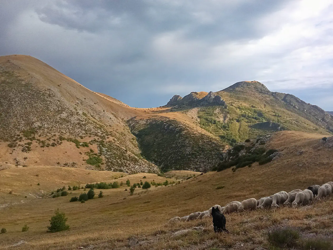 Respirez, vous êtes à la Chambrette